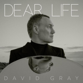 David Gray - Dear Life (Album CD) 19,21 €