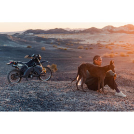 Black Dog - Film Blu-ray avec Sous-titres Français