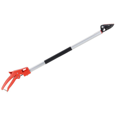 Ciseaux d'Élagage Longs Valex - Idéaux pour la Cueillette et la Taille