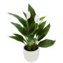 Plante Artificielle Spathiphyllum en Pot - Fleur Exotique Calla Rose