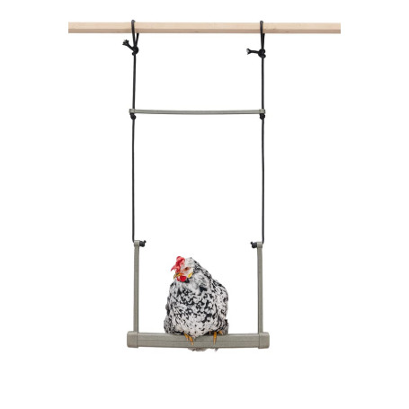 Balançoire Écologique pour Poules Beeztees - Gris 40x5x30 cm