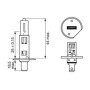 Ampoule de Phare Bosch H1 Xenon Blue 12V 55W - 1 Unité