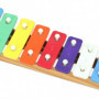 Xylophone Reig Bois Multicouleur 22,99 €