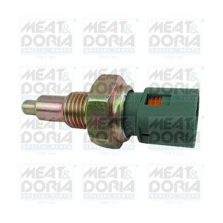 Interrupteur de Feu de Recul Meat & Doria 36006 - Vert