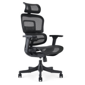 Fauteuil de Bureau Ergonomique avec Accoudoirs 3D et Appui-Tête Ajustable - Noir