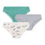 Lot de 3 Slips Enfant en Coton Imprimé Zèbres - Petit Bateau