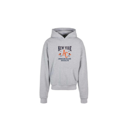 Sweat à Capuche AMERICAN COLLEGE USA pour Enfants - Modèle ACSW232 Gris 12 Ans
