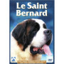 Le Saint Bernard : Guide Complet sur l'Éducation et la Santé du Chien