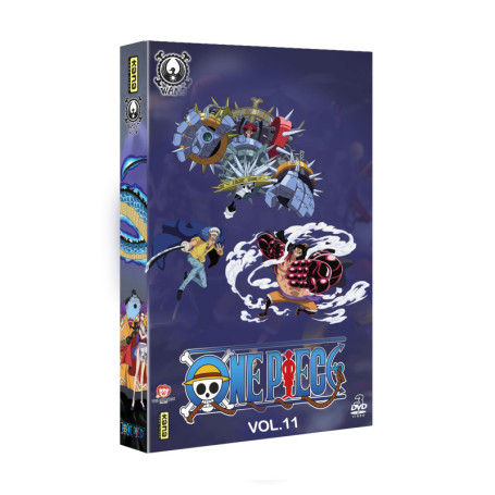 One Piece : L'Arc du Pays de Wano - Édition Limitée en DVD
