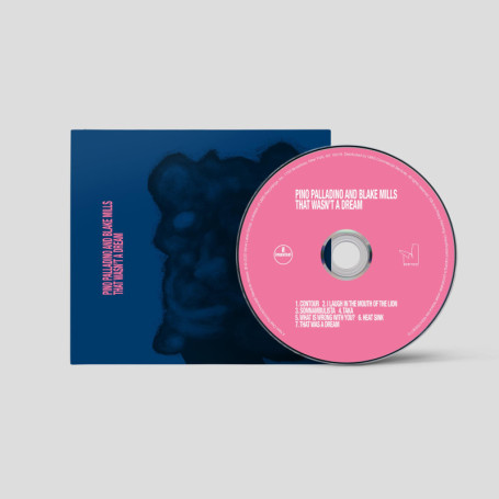 That Wasn't a Dream - Album de Verve