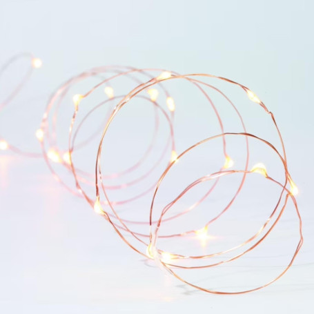 Guirlande Lumineuse LED en Fil de Cuivre 2 m - Lumière Blanche Froide