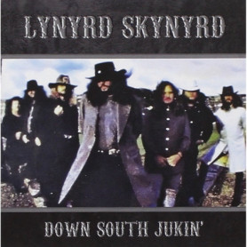 Concert Live Lynyrd Skynyrd - Lakewood Amphitheater 1994