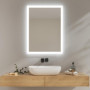 Miroir de Salle de Bain LED EMKE 80x60 cm avec Éclairage Antibrouillard