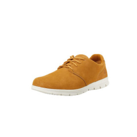 Sneakers Timberland Graydon Basic pour Hommes - Confort et Style