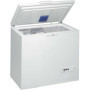 Congélateur Whirlpool WHM31112 - 312 Litres, Éclairage Intérieur, Blanc