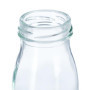 Set de 24 Bouteilles en Verre Hermétiques pour Jus et Smoothies - Relaxdays