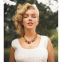 Chère Marilyn : Lettres et Photographies Inédites de Sam Shaw