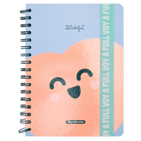 Agenda Semainier 2025 Mr. Wonderful avec Autocollants et Bloc-notes