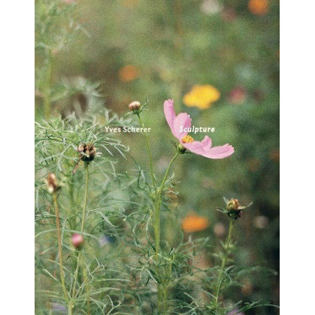 Yves Scherer : Sculpture - Édition Anglaise