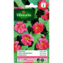 Capucine naine Rose - Fleurs originales pour jardin