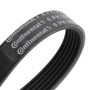 Courroie trapézoïdale ContiTech 6PK906 pour entraînement