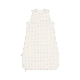 Gigoteuse Petit Bateau Mixte 0-6 Mois Blanc Multicolore avec Manches