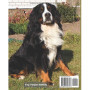 Mes Meilleures Recettes pour Nourrir Mon Chien Naturellement