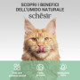 Schesir Filets de Poulet en Gelée pour Chats - Nourriture Humide Naturelle 100% - 12 Enveloppes de 70g
