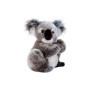 Peluche Koline Koala Multicolore 22 cm - Plush & Company
