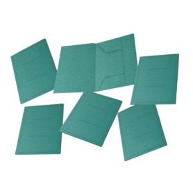 Chemises à Dossier 3 Rabats Pigna Eco Line - Vert, 50 Feuilles