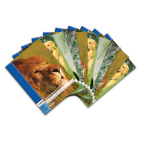 Lot de 10 blocs à dessin A3 avec 4 motifs assortis - LANDRE