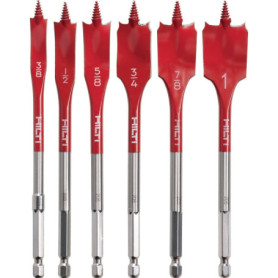 Lot de 6 Embouts à Tête Plate HILTI WDB-S 100 mm