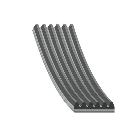 Courroie trapézoïdale à nervures Febi bilstein 29009 pour véhicules compatibles