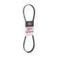 Courroie Poly-V Gates 6PK1920 pour Alternateur - Performance Optimale