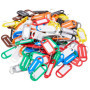 Porte-clés étiquettes multicolores - Paquet de 100 pour identification
