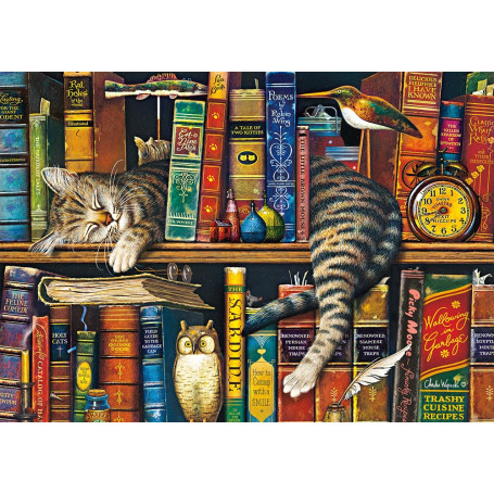 Puzzle 1000 pièces Charles Wysocki - Frederick The Literary