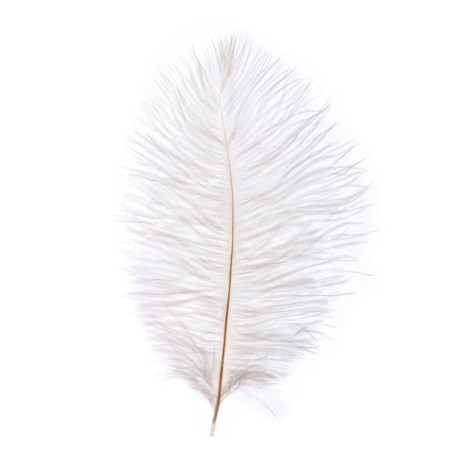 Plumes d'Autruche Artificielles Blanches - 10 Pièces pour Décoration de Mariage et Bricolage