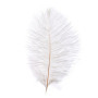 Plumes d'Autruche Artificielles Blanches - 10 Pièces pour Décoration de Mariage et Bricolage