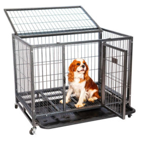 Cage Pliable pour Chien avec Accès Supérieur et Plateau Amovible - Paitsy