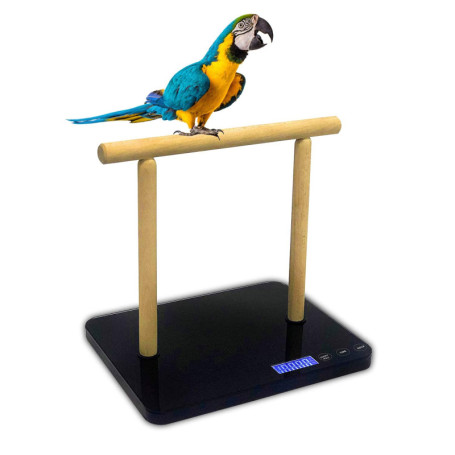 Balance numérique pour oiseaux MINDPET-MED - Précision ± 1 g, idéale pour perroquets et aras