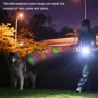 Laisse LED Rechargeable WIYETY pour Chien - 1,2 m avec 9 Modes d'Éclairage