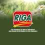 Biscuits Croustillants Riga aux Carottes pour Rongeurs - 50 g