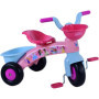 Tricycle Multicolore Premier Pas Disney Princess