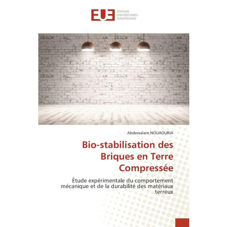 Bio-stabilisation des Briques en Terre Compressée - Guide Pratique