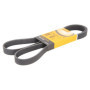 Courroie Poly-V CONTITECH 6PK1502 EXTRA pour Composants d'Entraînement