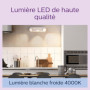 Pack de 2 Ampoules LED GU10 Philips 35W Blanc Froid