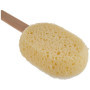 Brosse Régénératrice MartiniSPA pour Massage Corps - Éponge Naturelle