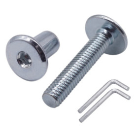 Lot de 10 boulons de raccordement en acier zingué M6 x 35 mm avec écrous