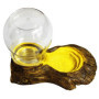 Fontaine à Eau OMEM pour Reptiles et Animaux Domestiques - Accessoire Pratique