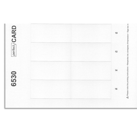 Badgepoint Porte-Nom Impression Arche Polar 30 - Lot de 10 Feuilles A4